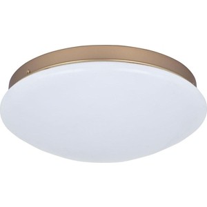 

Потолочный светодиодный светильник F-Promo 2466-2C, 2466-2C