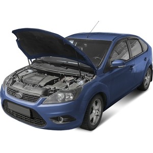 фото Газовые упоры капота автоупор для ford focus ii (2005-2011), 2 шт., ufdfoc013