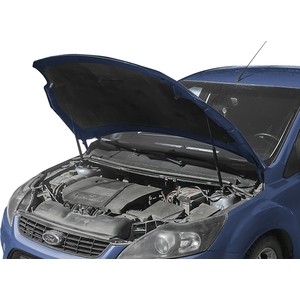 фото Газовые упоры капота автоупор для ford focus ii (2005-2011), 2 шт., ufdfoc013