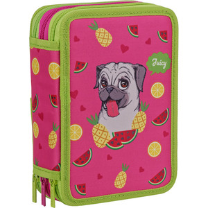 

Пенал BERLINGO 3 отделения Juicy Pug, полиэстер, 3 отделения Juicy Pug, полиэстер