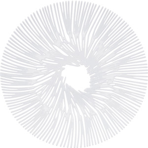 

Блюдо для фруктов белое Koziol Anemone (3538525), Anemone (3538525)
