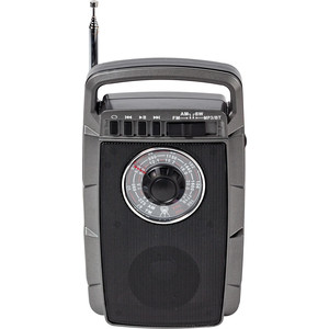 

Портативная колонка MAX MR-322 grey, MR-322 grey