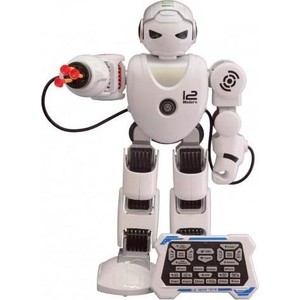 Робот Feng Yuan Shantou Gepai Alpha Robot - FY-K1