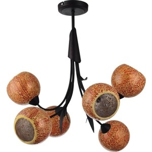 

Подвесная люстра Lussole GRLSF-6203-06, GRLSF-6203-06