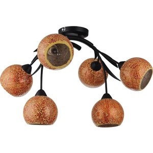 

Потолочная люстра Lussole GRLSF-6213-06, GRLSF-6213-06