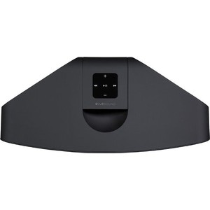 фото Портативная умная колонка bluesound pulse 2i black