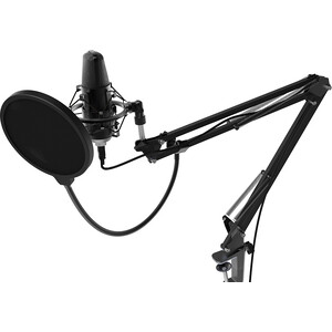 фото Настольный микрофон для записи голоса и вокала ritmix rdm-169 usb