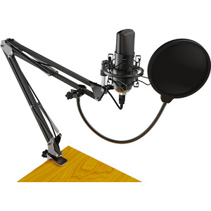 фото Настольный микрофон для записи голоса и вокала ritmix rdm-169 usb