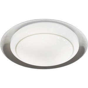 

Потолочный светодиодный светильник Ambrella light F46 WH 48W D450, F46 WH 48W D450