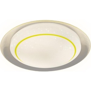 

Потолочный светодиодный светильник Ambrella light F46 YL 48W D450, F46 YL 48W D450