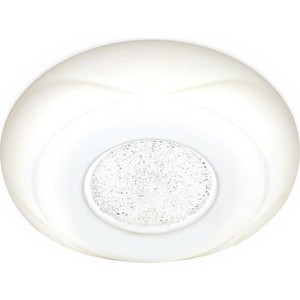 

Потолочный светодиодный светильник Ambrella light F201 WH 48W D370, F201 WH 48W D370