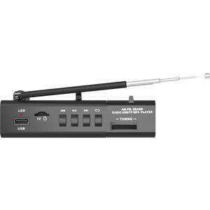 Портативный радиоприемник Ritmix RPR-155