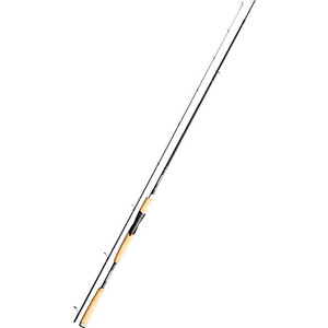 

Спиннинг Daiwa TeamJTDJ300HS 3,00м (100-150г), TeamJTDJ300HS 3,00м (100-150г)