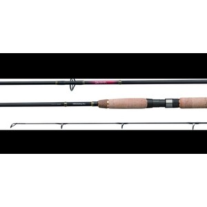 

Спиннинг Daiwa TeamDaiwa-RU TD-RU 1002 MHFS 3,05м (10-40г) 11315-300RU, TeamDaiwa-RU TD-RU 1002 MHFS 3,05м (10-40г) 11315-300RU