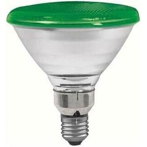 Лампа накаливания рефлекторная PAR38 Е27 80W конус зеленый Paulmann 27283