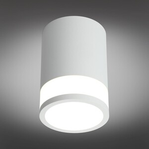 Потолочный светодиодный светильник Omnilux OML-101509-12 - фото 4