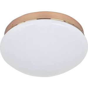 

Потолочный светодиодный светильник F-Promo 2465-1C, 2465-1C