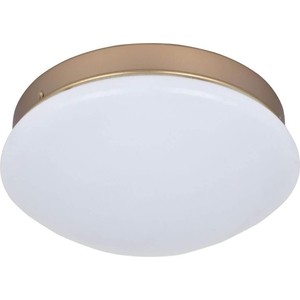 

Потолочный светодиодный светильник F-Promo 2466-1C, 2466-1C