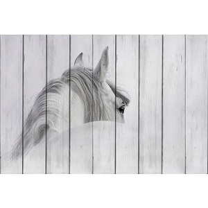 Картина на дереве Дом Корлеоне Белая лошадь 60x90 см