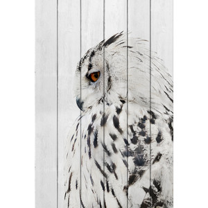 Картина на дереве Дом Корлеоне Белая сова 120x180 см