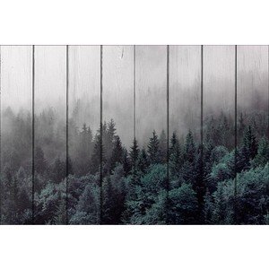 

Картина на дереве Дом Корлеоне Лес 120x180 см, Лес 120x180 см