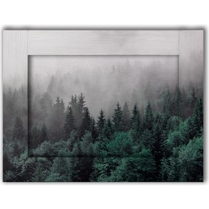 

Картина с арт рамой Дом Корлеоне Лес 35x45 см, Лес 35x45 см