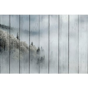 

Картина на дереве Дом Корлеоне Лес в тумане 120x180 см, Лес в тумане 120x180 см