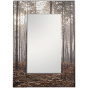 Настенное зеркало Дом Корлеоне Лесной туман 75x110 см
