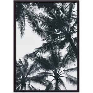 

Постер в рамке Дом Корлеоне Пальмовые кроны 40x60 см, Пальмовые кроны 40x60 см