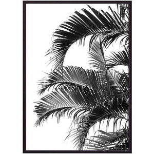 Постер в рамке Дом Корлеоне Пальмовые листья 21x30 см - фото 1