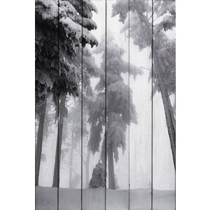 

Картина на дереве Дом Корлеоне Снежные сосны 80x120 см, Снежные сосны 80x120 см