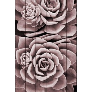 

Картина на дереве Дом Корлеоне Суккулент 30x40 см, Суккулент 30x40 см