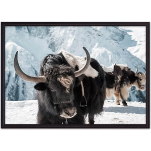 

Постер в рамке Дом Корлеоне Як 30x40 см, Як 30x40 см