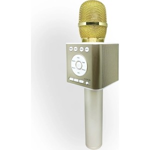 

Караоке-микрофон Funtastique FM01G золотой, FM01G золотой
