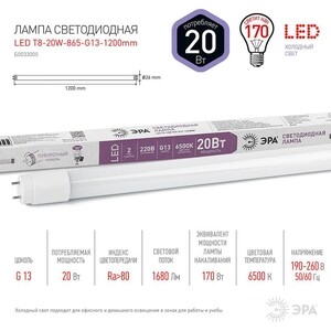 Лампа светодиодная ЭРА LED T8-20W-865-G13-1200mm