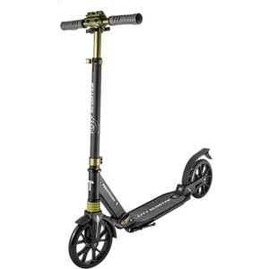 

Самокат 2-х колесный TechTeam City Scooter (2020) черный, City Scooter (2020) черный