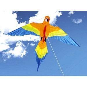 фото Воздушный змей hasi попугай клара 154х122