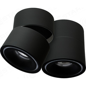 Светодиодный поворотный светильник Estares DRUM 12W R-100-WW-BLACK-220-IP44