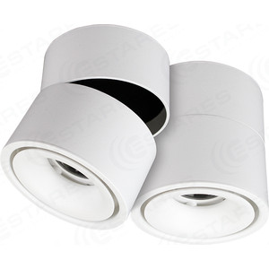 Светодиодный поворотный светильник Estares DRUM 12W R-100-WW-WHITE-220-IP44