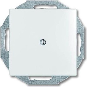 

Лицевая панель ABB Basic55 вывода кабеля альпийский белый, Basic55 вывода кабеля альпийский белый