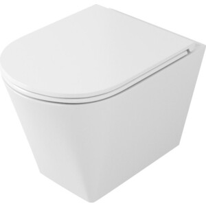 

Унитаз подвесной OWL 1975 Curve Cirkel-H с сиденьем микролифт (OWLT190802), Curve Cirkel-H с сиденьем микролифт (OWLT190802)