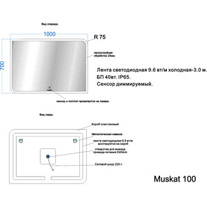 фото Зеркало veneciana muskat 100 (610005)