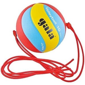 Мяч волейбольный Gala Jump арт. BV5481S р.5