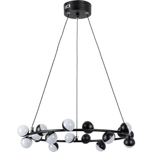 

Светильник Arte Lamp DEXTER A3619SP-18BK, DEXTER A3619SP-18BK
