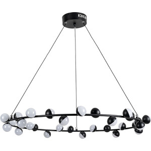 

Светильник Arte Lamp DEXTER A3619SP-30BK, DEXTER A3619SP-30BK