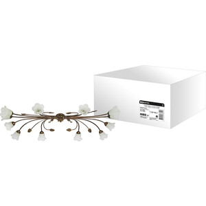 

Люстра TDM ELECTRIC НПБ - 01 - 22 - 12x25 Сканди антик с медью 12x25 Вт E14, НПБ - 01 - 22 - 12x25 Сканди антик с медью 12x25 Вт E14