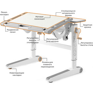 фото Детский стол mealux ergowood-m tg multicolor bd-800 tg multicolor