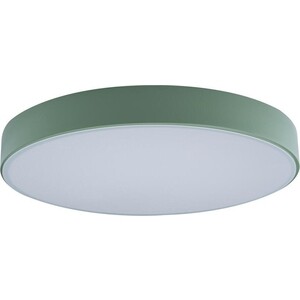 фото Светильник loft it потолочный светодиодный axel 10002/24 green