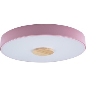 фото Светильник loft it потолочный светодиодный axel 10003/24 pink