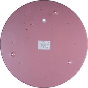 фото Светильник loft it потолочный светодиодный axel 10003/24 pink
